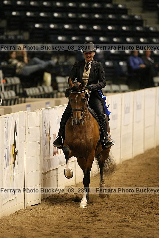Proof Number buckeye_08_2890