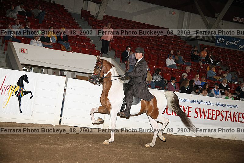Proof Number buckeye_08_2903