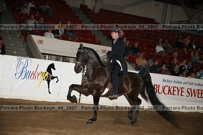 Proof Number buckeye_08_2907