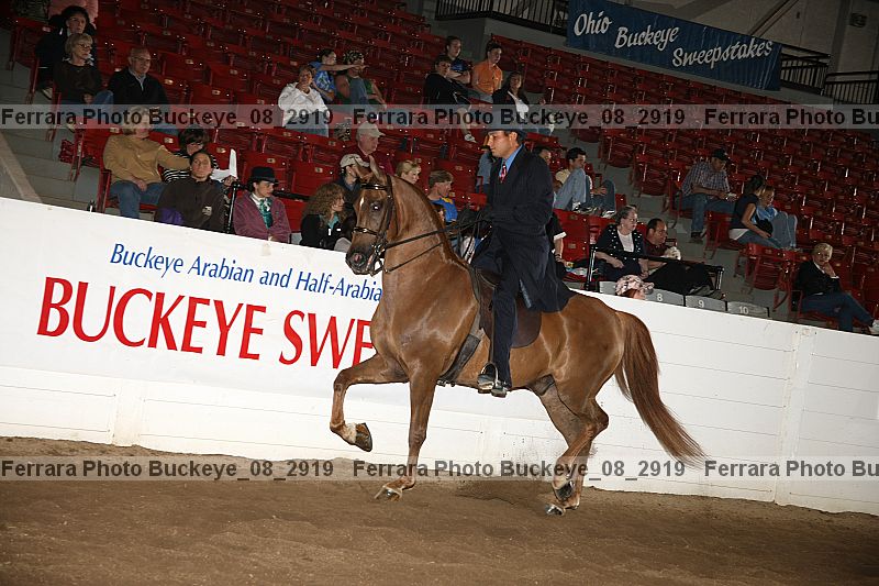 Proof Number buckeye_08_2919