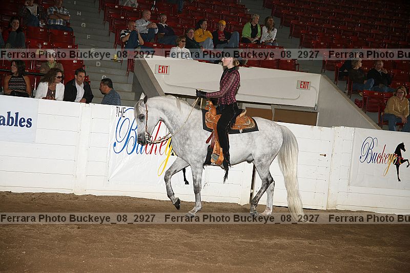 Proof Number buckeye_08_2927