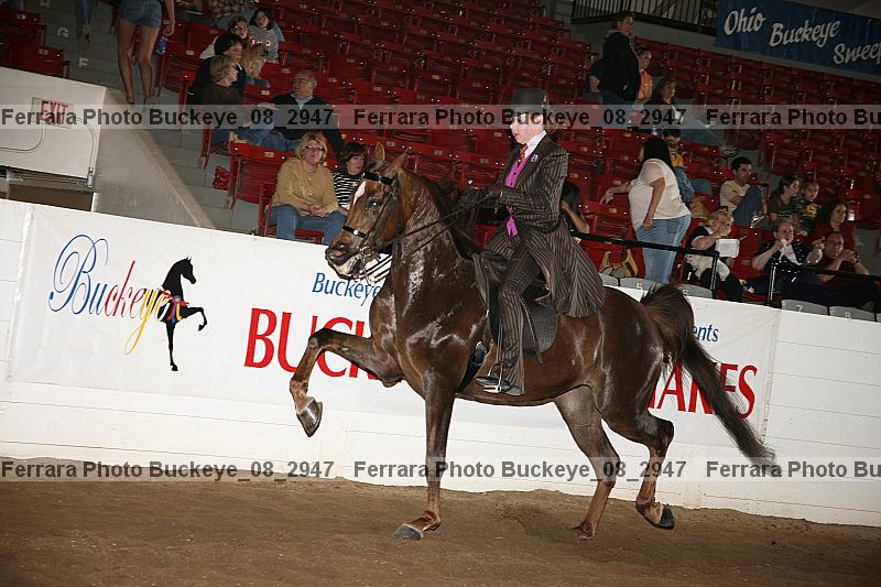 Proof Number buckeye_08_2947