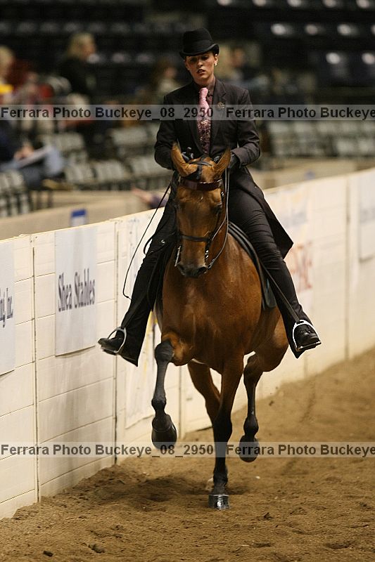 Proof Number buckeye_08_2950