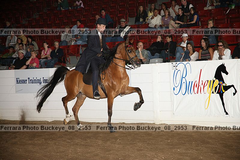 Proof Number buckeye_08_2953