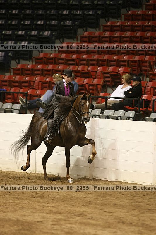 Proof Number buckeye_08_2955