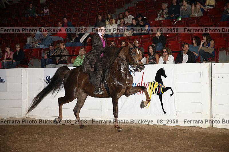 Proof Number buckeye_08_2958
