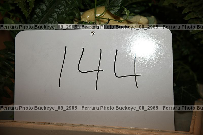 Proof Number buckeye_08_2965