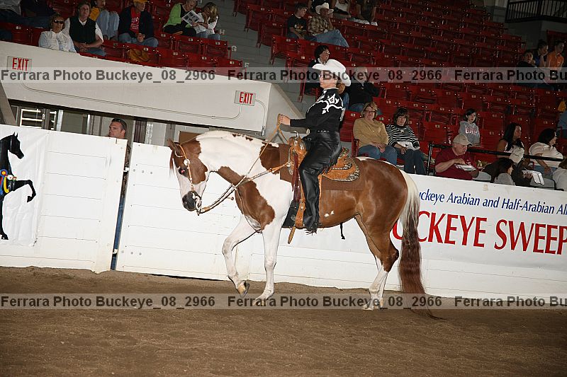 Proof Number buckeye_08_2966