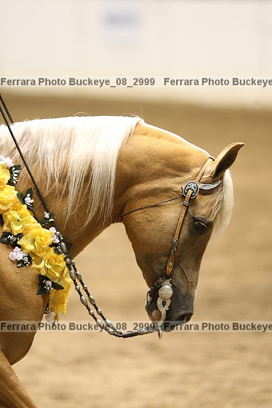 Proof Number buckeye_08_2999