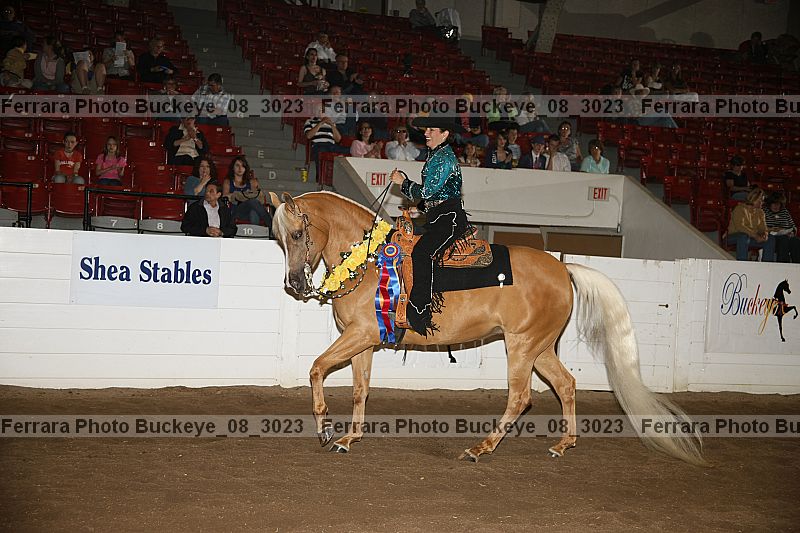 Proof Number buckeye_08_3023