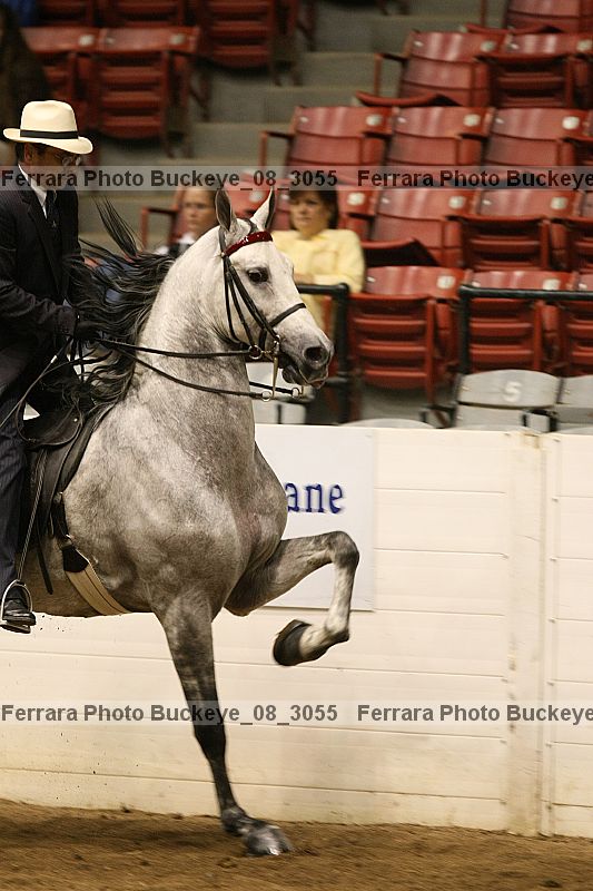 Proof Number buckeye_08_3055