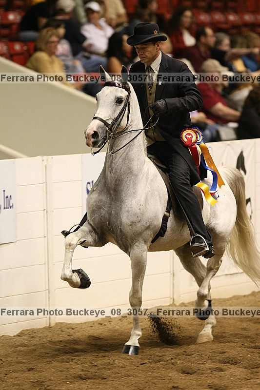 Proof Number buckeye_08_3057