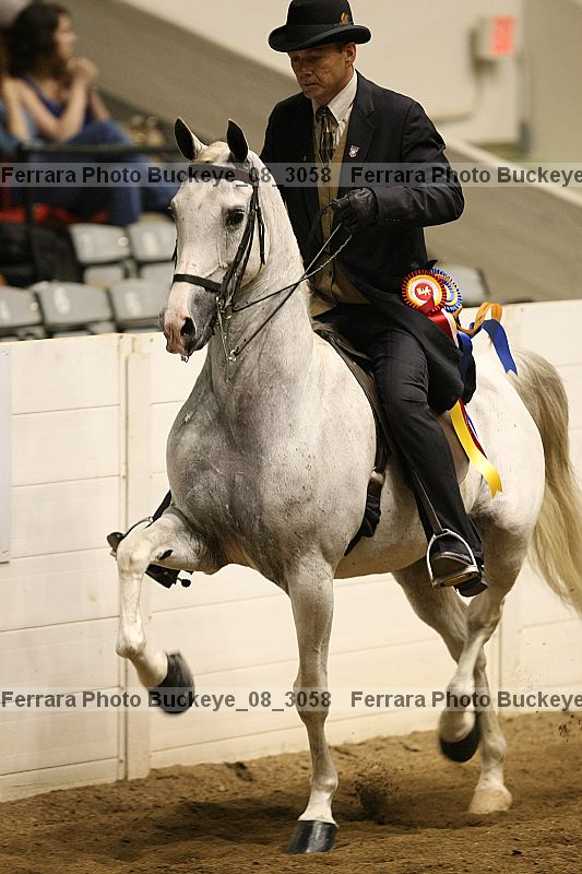 Proof Number buckeye_08_3058