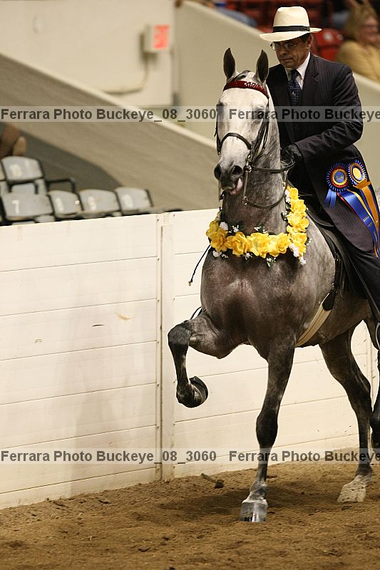 Proof Number buckeye_08_3060