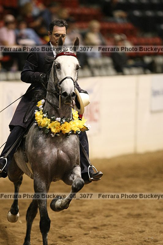 Proof Number buckeye_08_3077