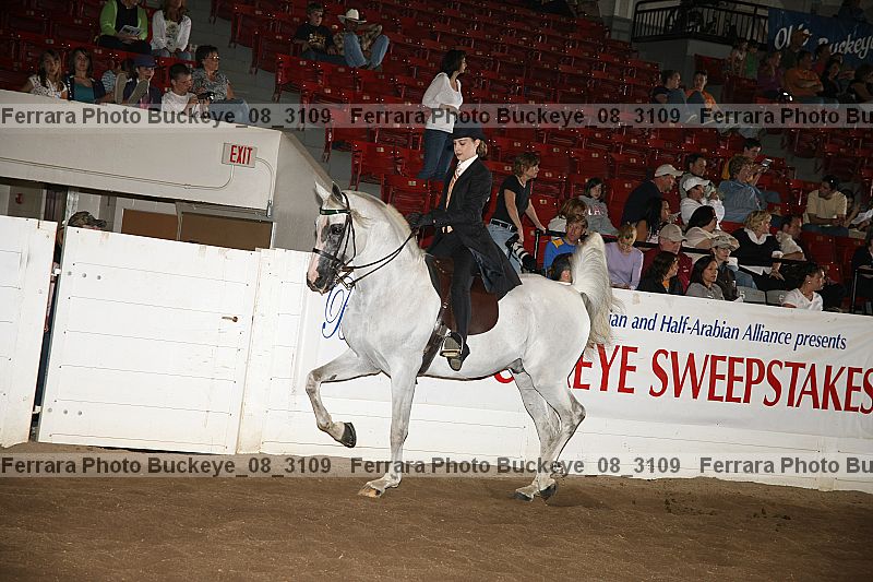 Proof Number buckeye_08_3109