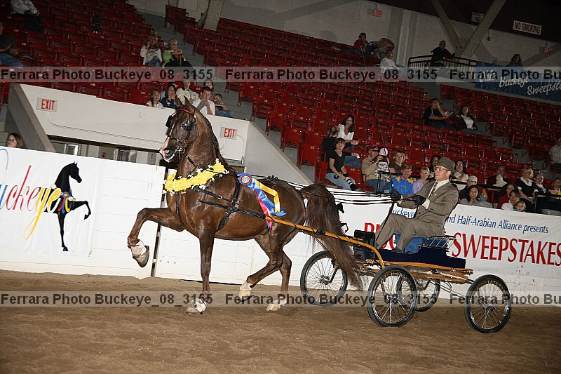 Proof Number buckeye_08_3155