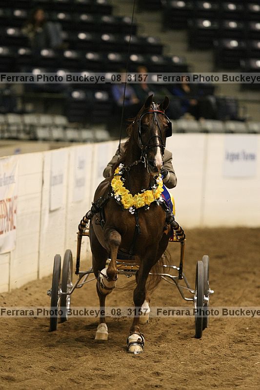 Proof Number buckeye_08_3157