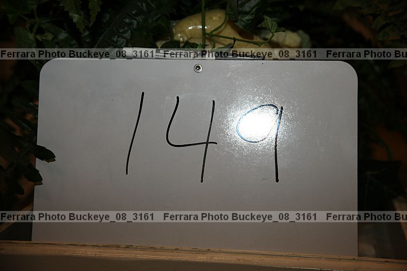 Proof Number buckeye_08_3161
