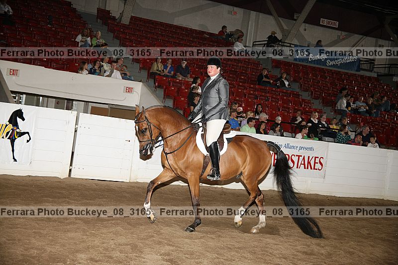 Proof Number buckeye_08_3165