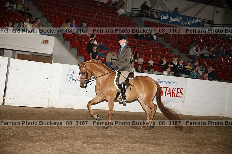 Proof Number buckeye_08_3167