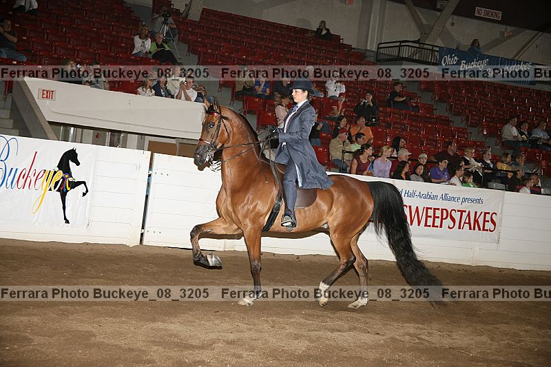Proof Number buckeye_08_3205