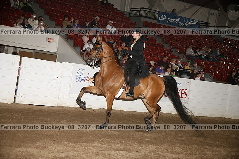 Proof Number buckeye_08_3207