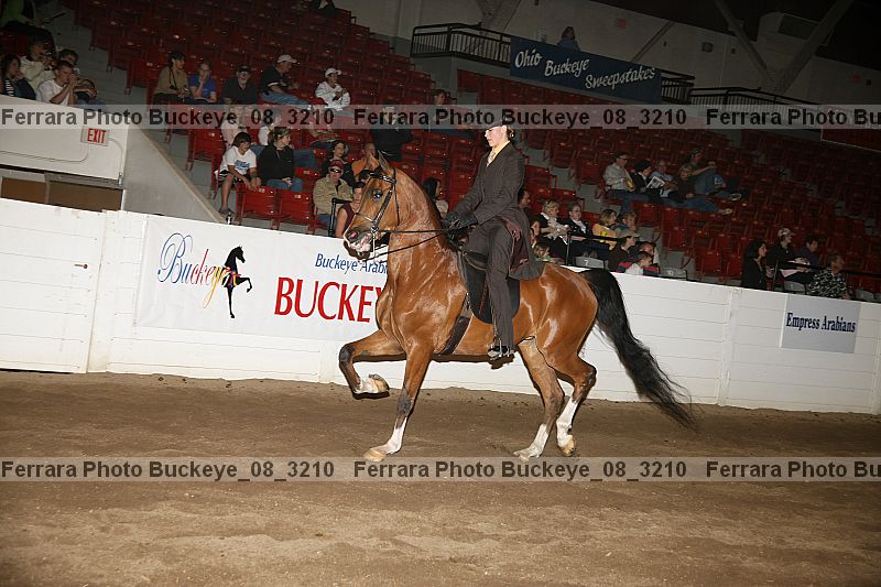 Proof Number buckeye_08_3210