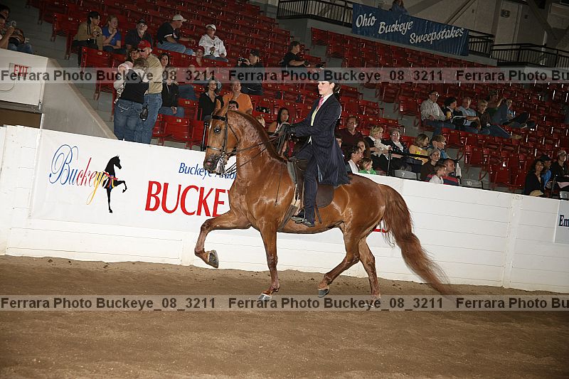 Proof Number buckeye_08_3211