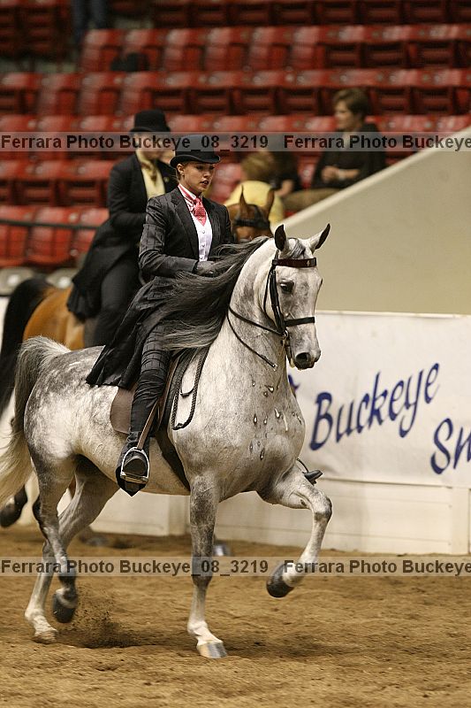 Proof Number buckeye_08_3219