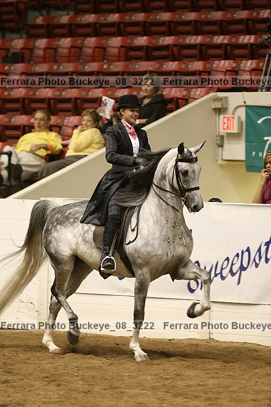 Proof Number buckeye_08_3222