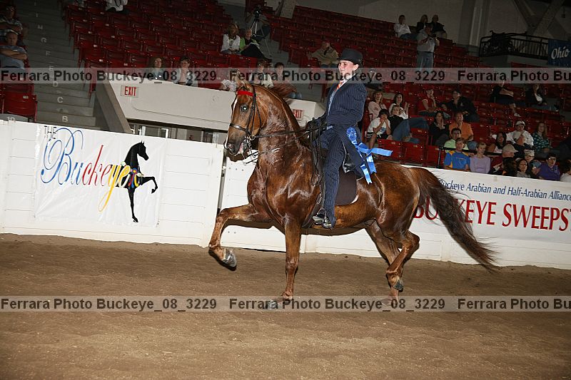Proof Number buckeye_08_3229