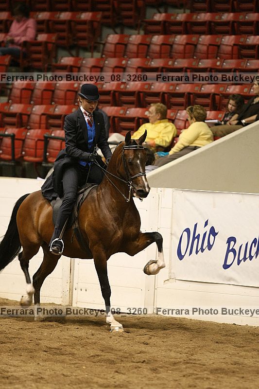 Proof Number buckeye_08_3260