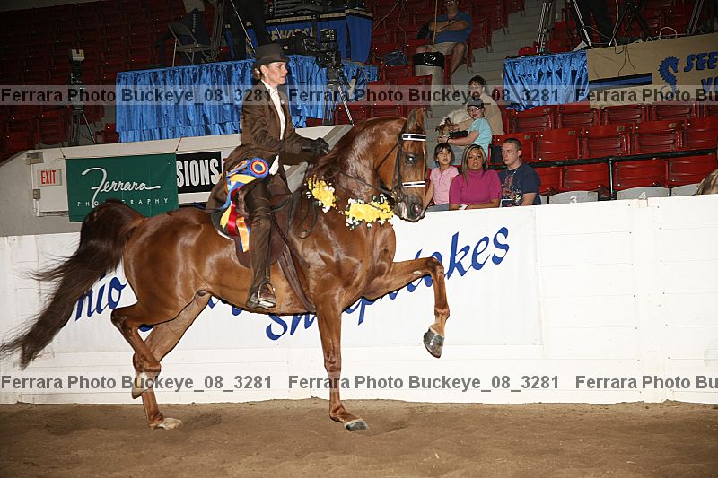 Proof Number buckeye_08_3281