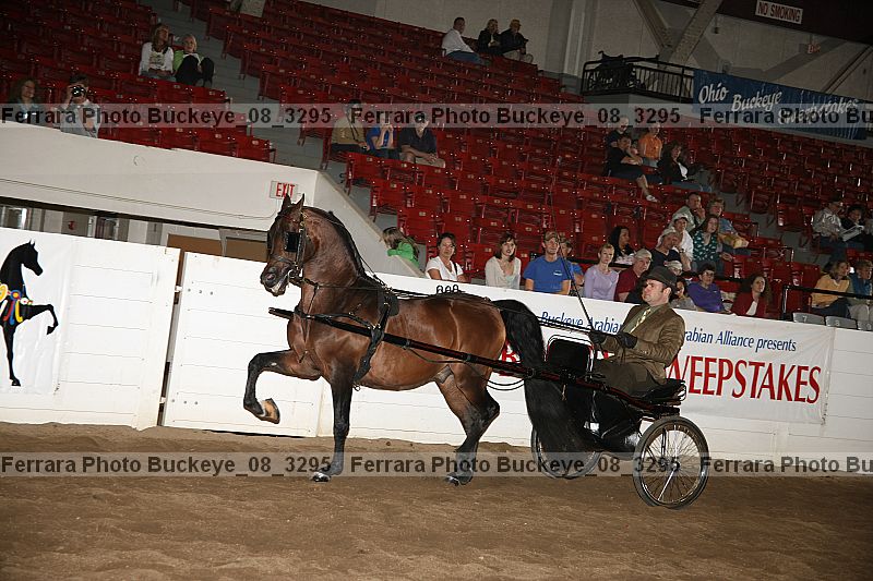 Proof Number buckeye_08_3295