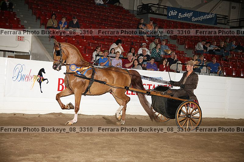 Proof Number buckeye_08_3310