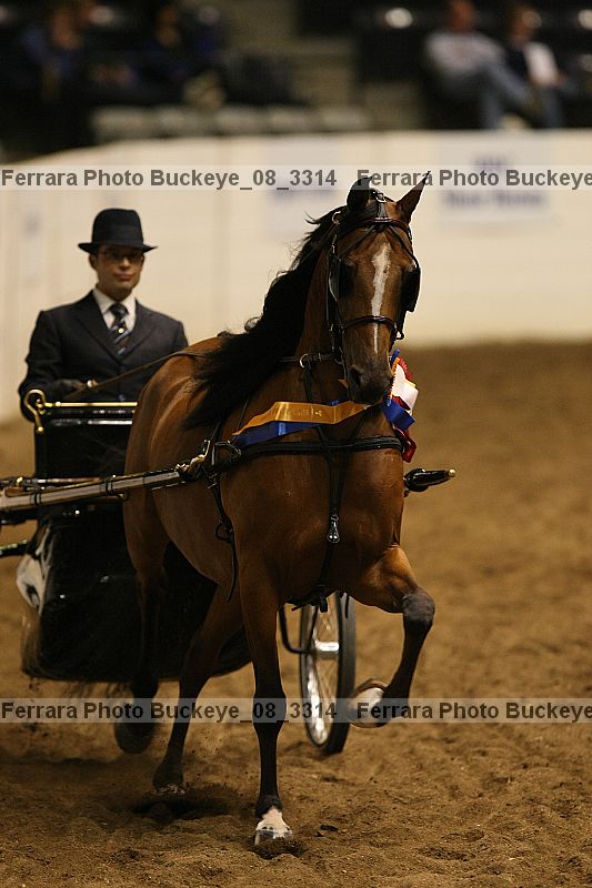 Proof Number buckeye_08_3314