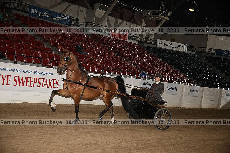 Proof Number buckeye_08_3336