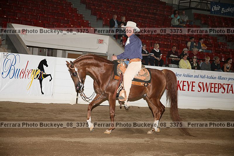 Proof Number buckeye_08_3375