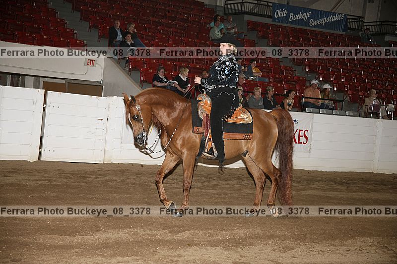 Proof Number buckeye_08_3378
