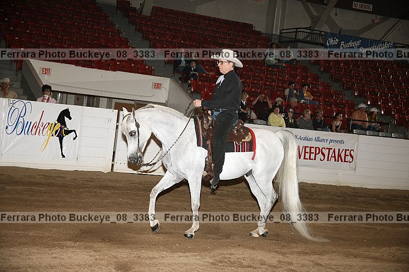 Proof Number buckeye_08_3383
