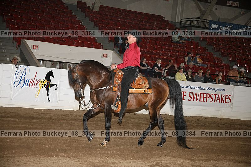Proof Number buckeye_08_3384