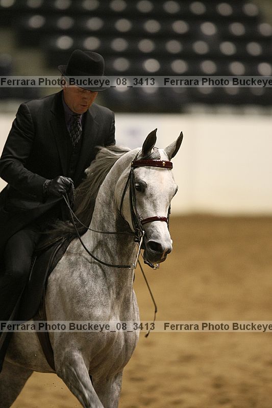 Proof Number buckeye_08_3413