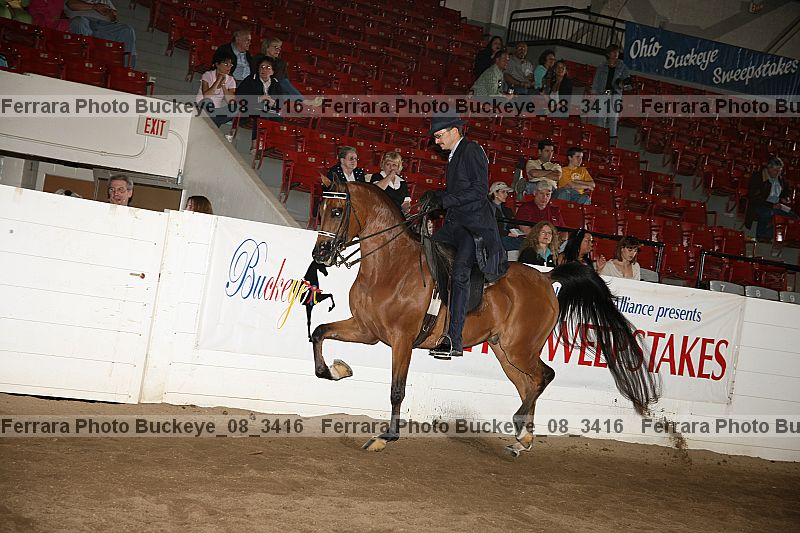 Proof Number buckeye_08_3416