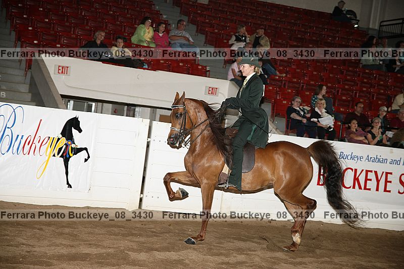 Proof Number buckeye_08_3430