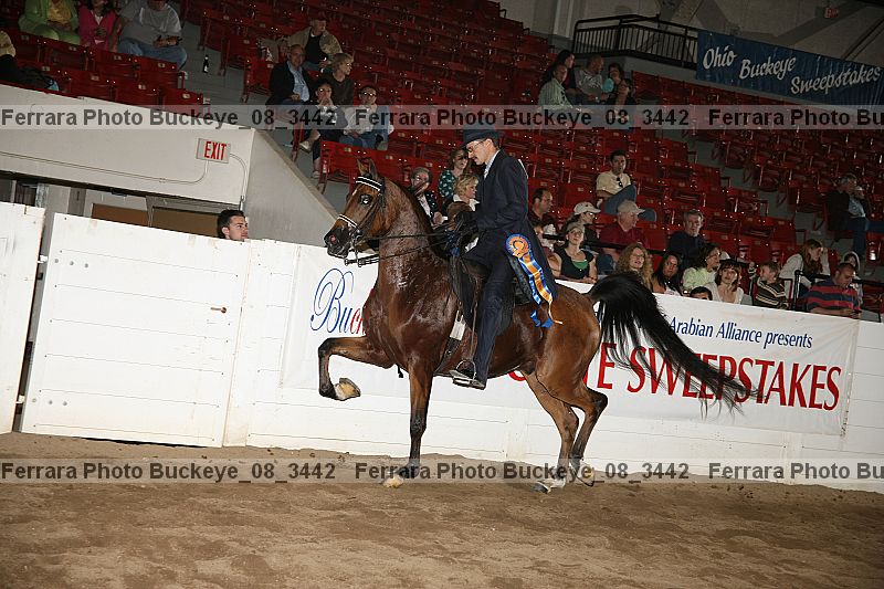 Proof Number buckeye_08_3442