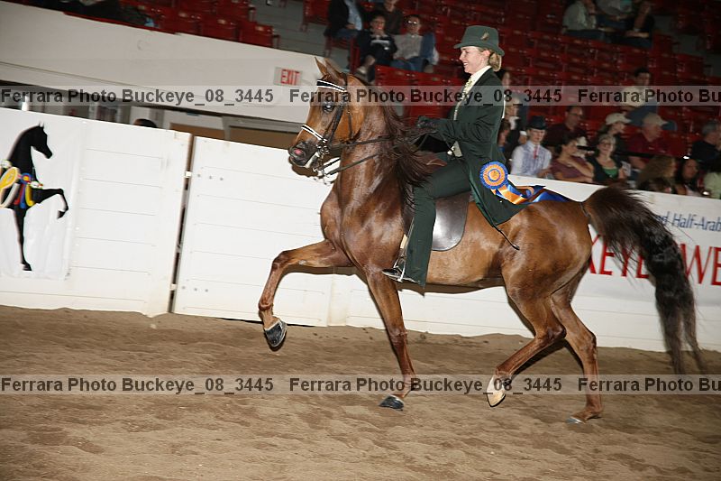 Proof Number buckeye_08_3445