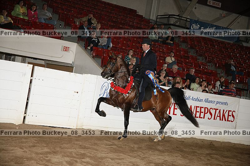 Proof Number buckeye_08_3453