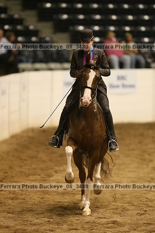 Proof Number buckeye_08_3480