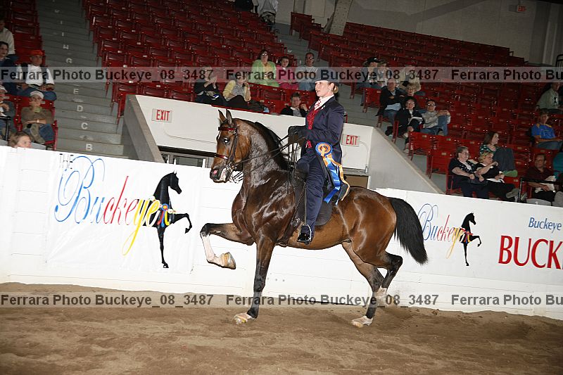 Proof Number buckeye_08_3487